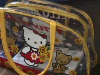 kittytasche